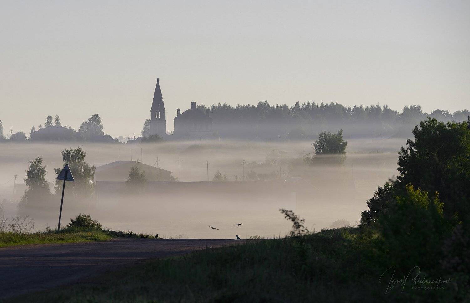 , Игорь Приданников