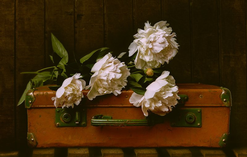 Back to home фото превью