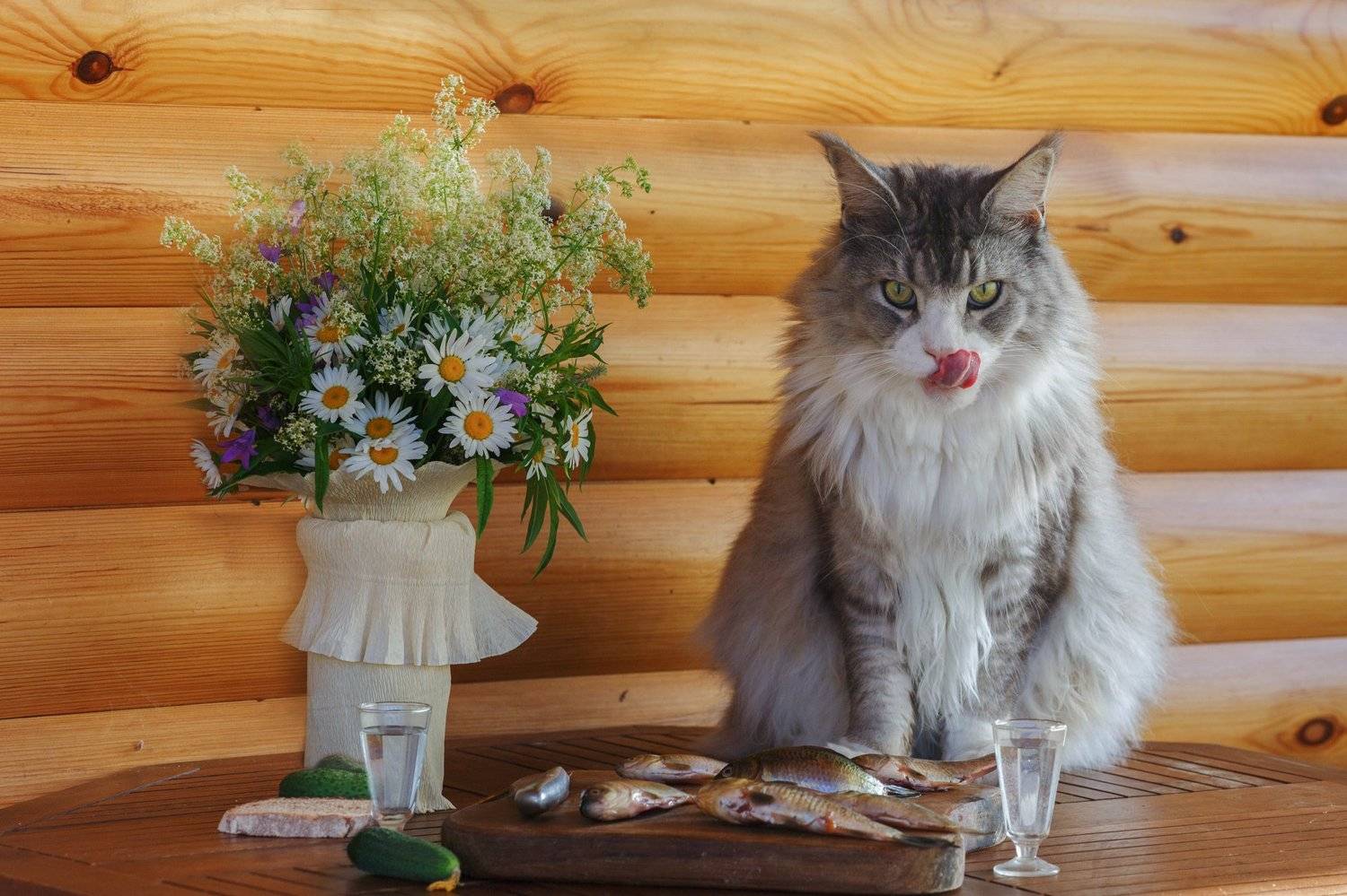 рыбалка, караси, деревня, лето, цветы, компания, Оксана Ведмеденко