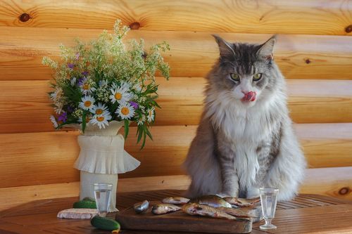 Деревенский натюрморт с животным