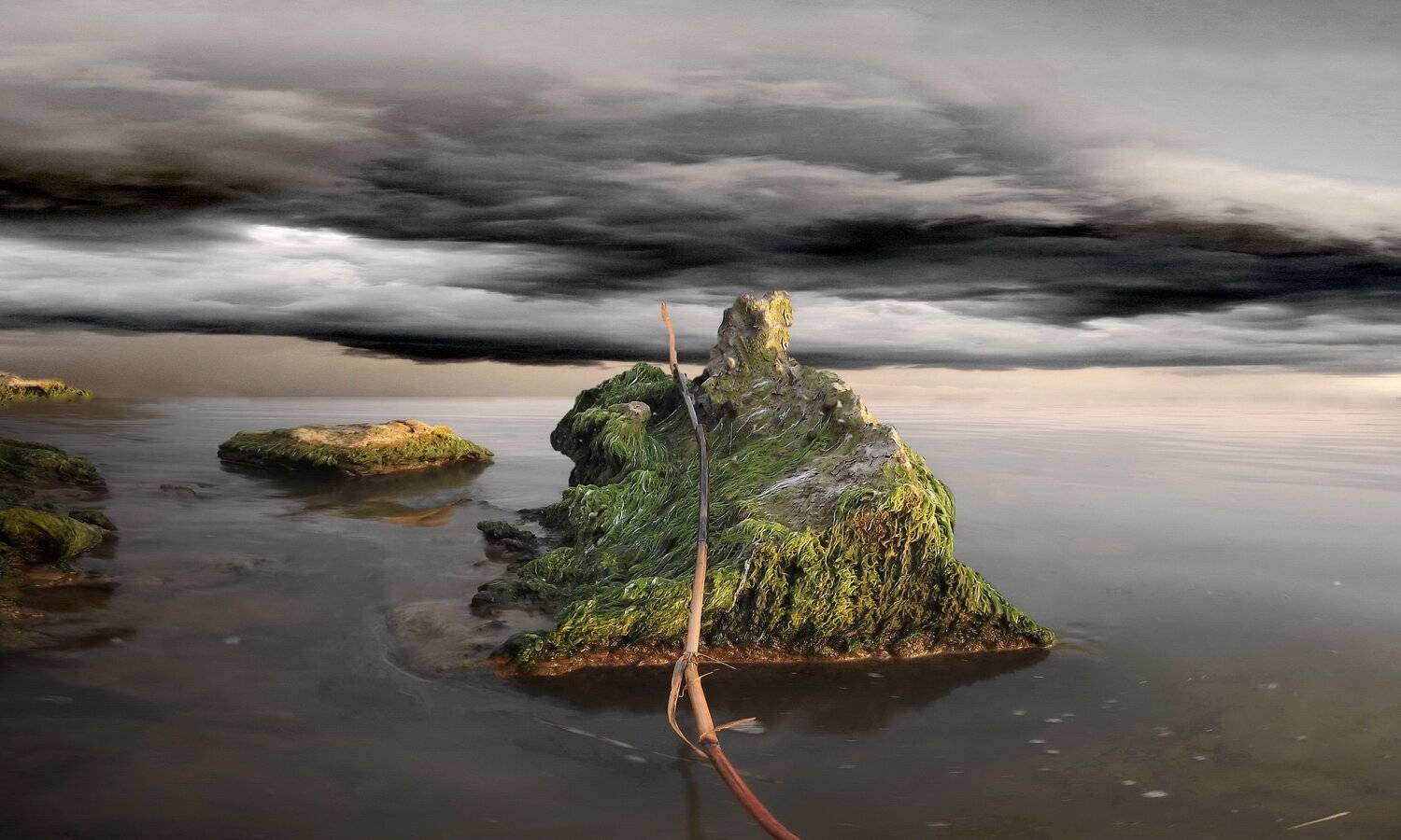 одесса, Сергей Кошелев