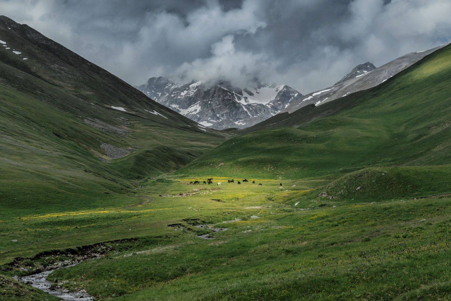теберда, кчр, природа, лето, пейзаж, мухинский перевал, горы, животные, кони, тучи,, Алиева Татьяна