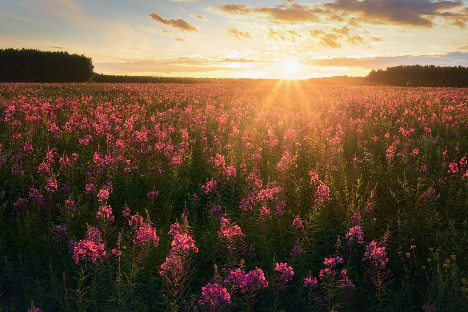 , Михаил Туркеев