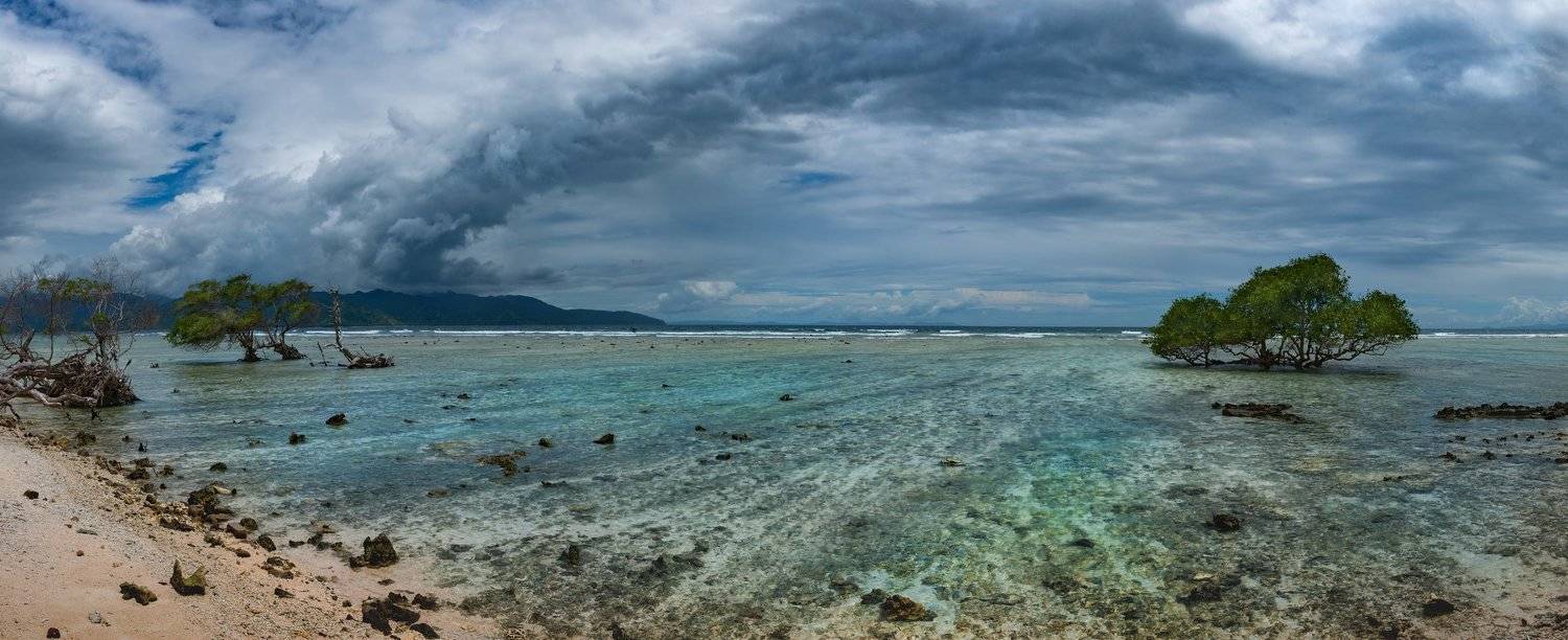 #пейзаж #путешествия #море #отдых #красивый пляж #деревья, Ольга Мусиенко