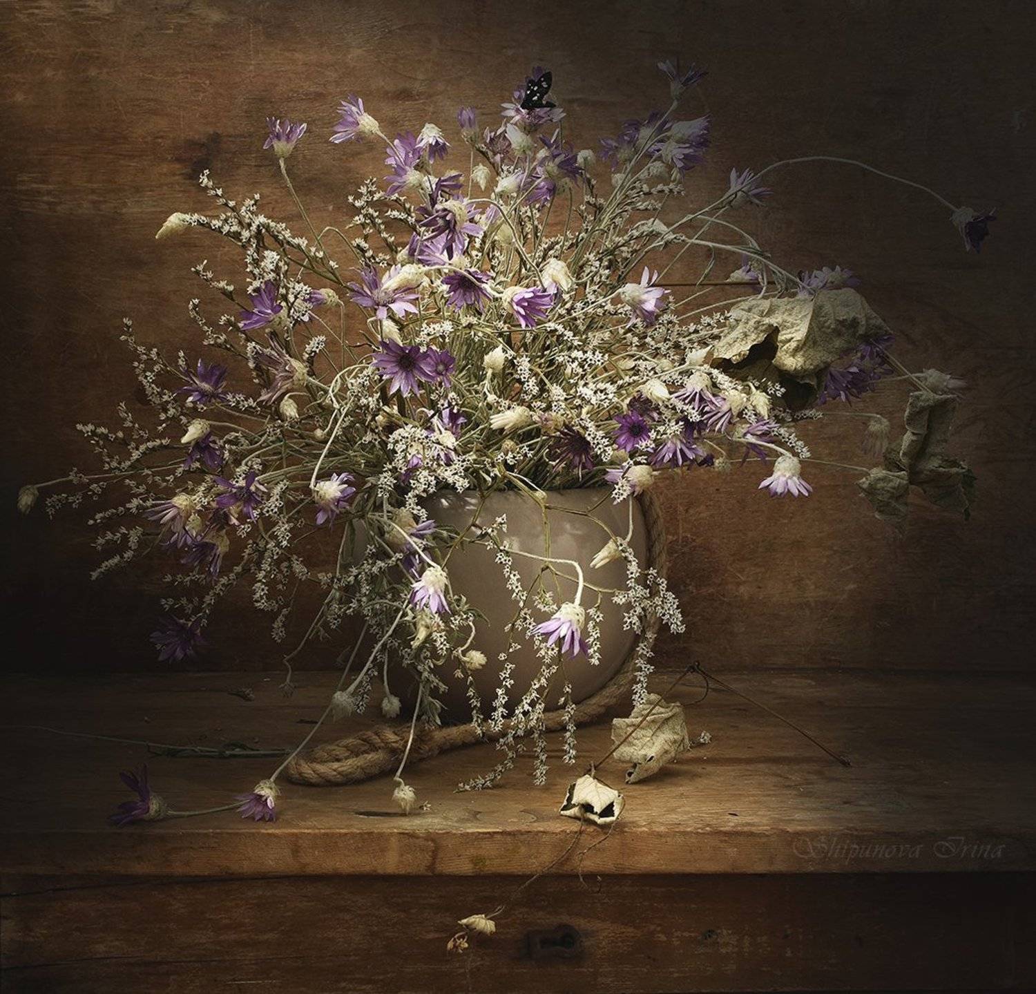 , Шипунова Ирина