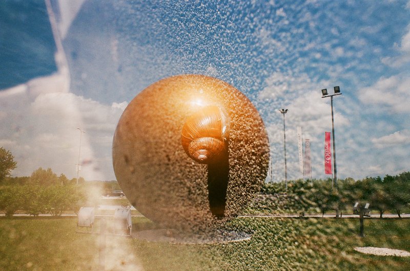 The Survival of the Snail фото превью