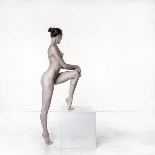 Muse on Cube II