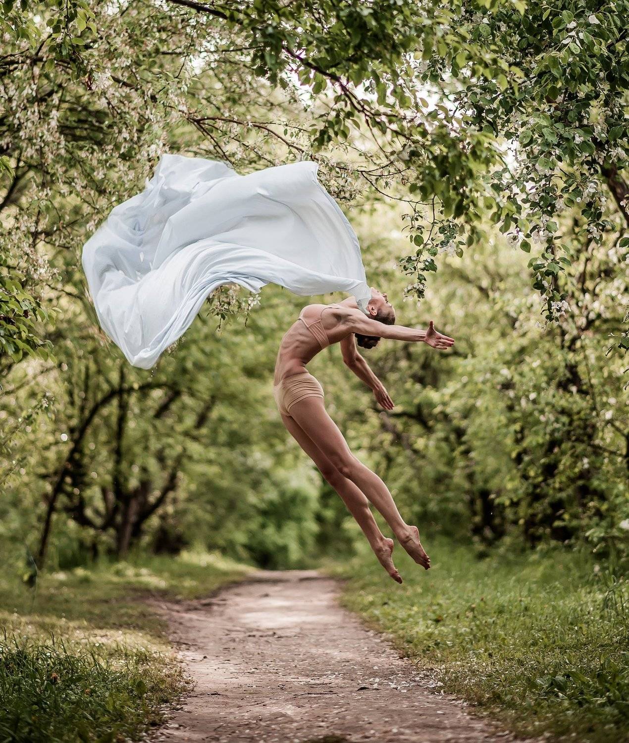 , Терра Алена