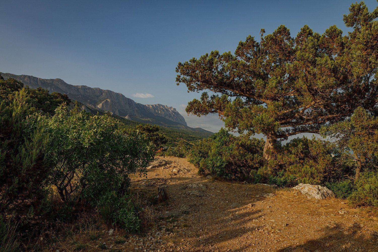 , Евгений Кужилев