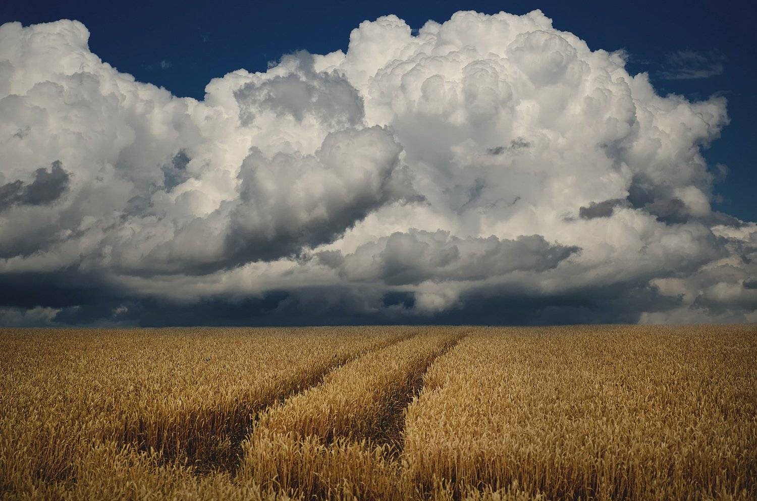 не задолго до дождя., Чурляев Максим