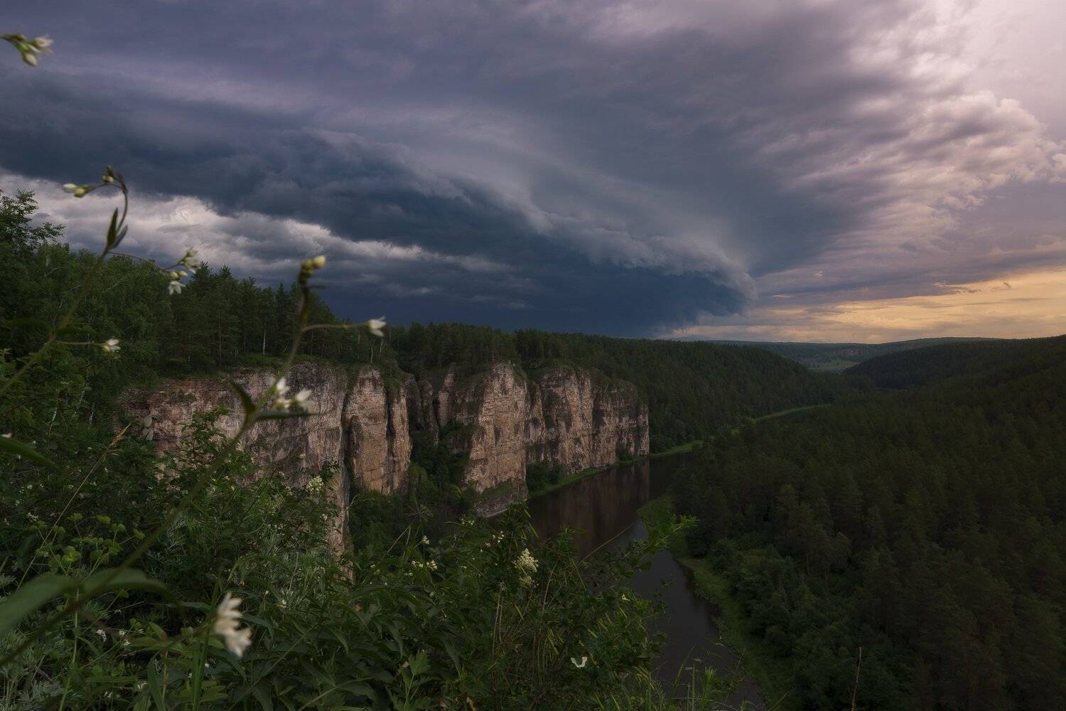 , Андрей Шарапов