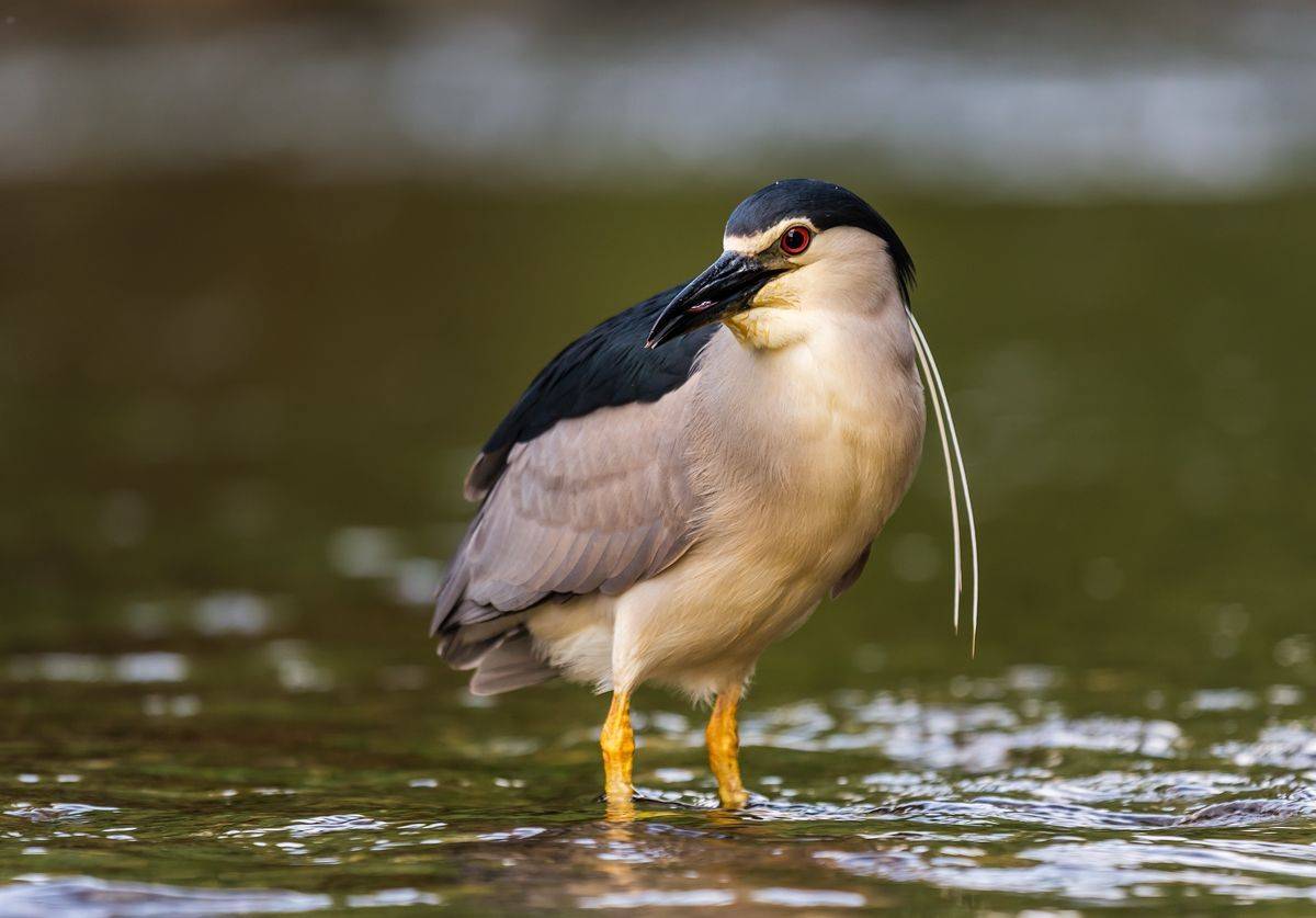 , Sławek Przybylski