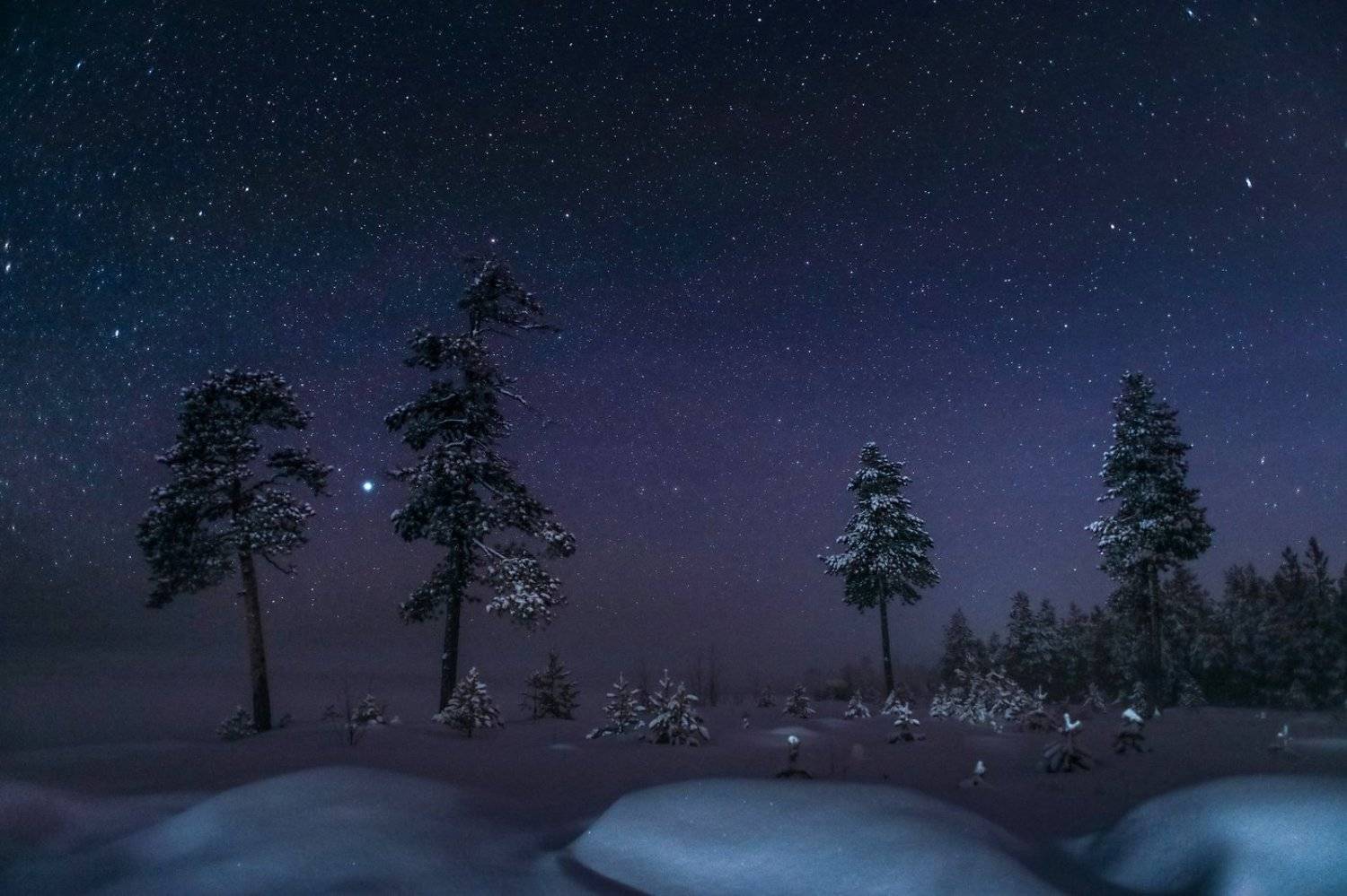Югра, Север, Ночь, зима, Звезды, красиво,, Татьяна Борисова
