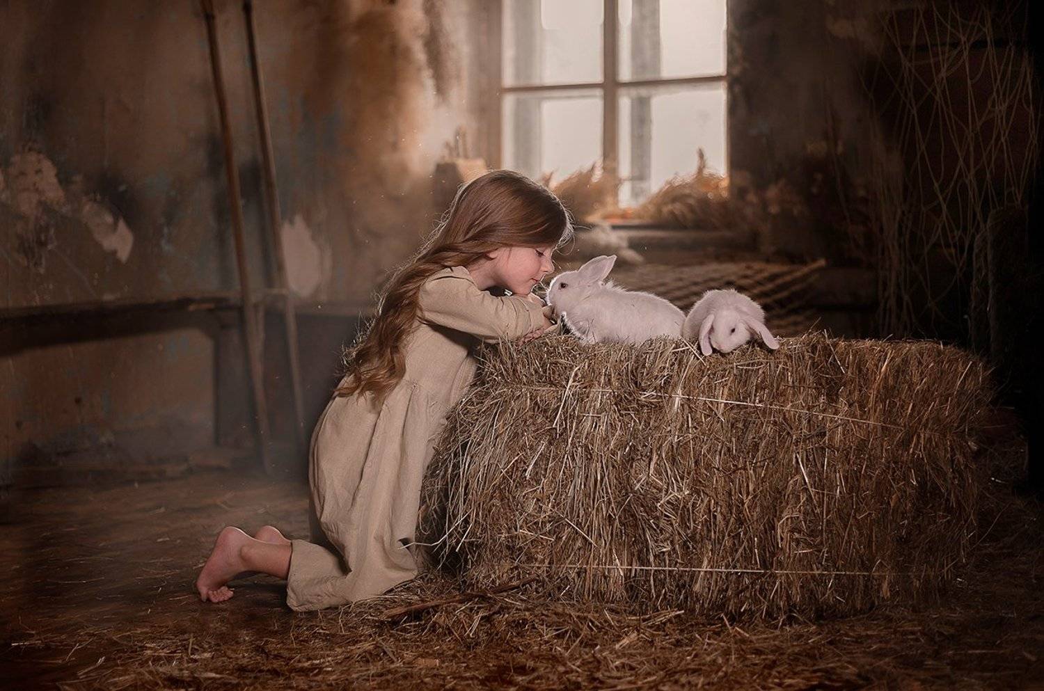 сено кролики дети , Мария Чернова