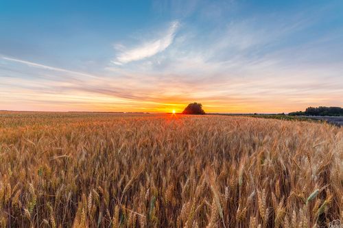 Встречая Тамбовский рассвет