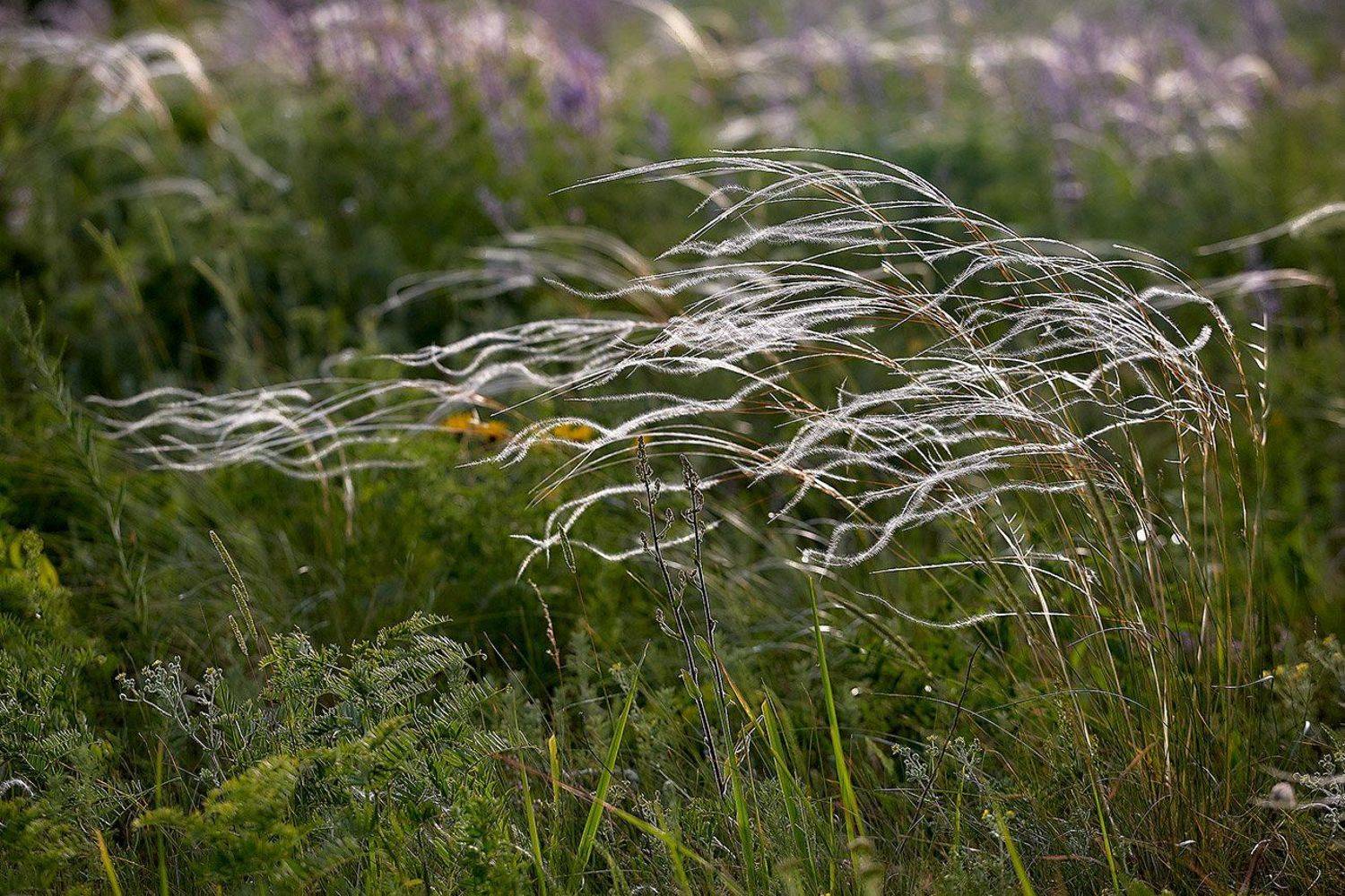 южный, урал, долгие горы, орск, новотроицк башкирия талкас, Качурин Алексей