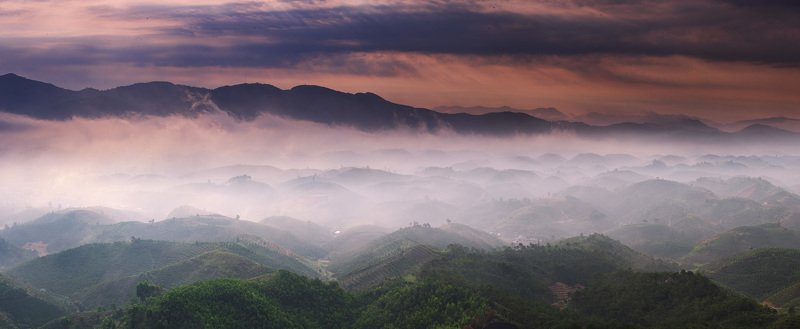 Dai Lao фото превью