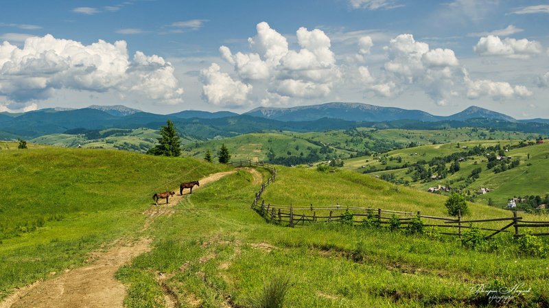 карпаты, лето, горганы, ясиня, дорога, горы Старая дорога фото превью