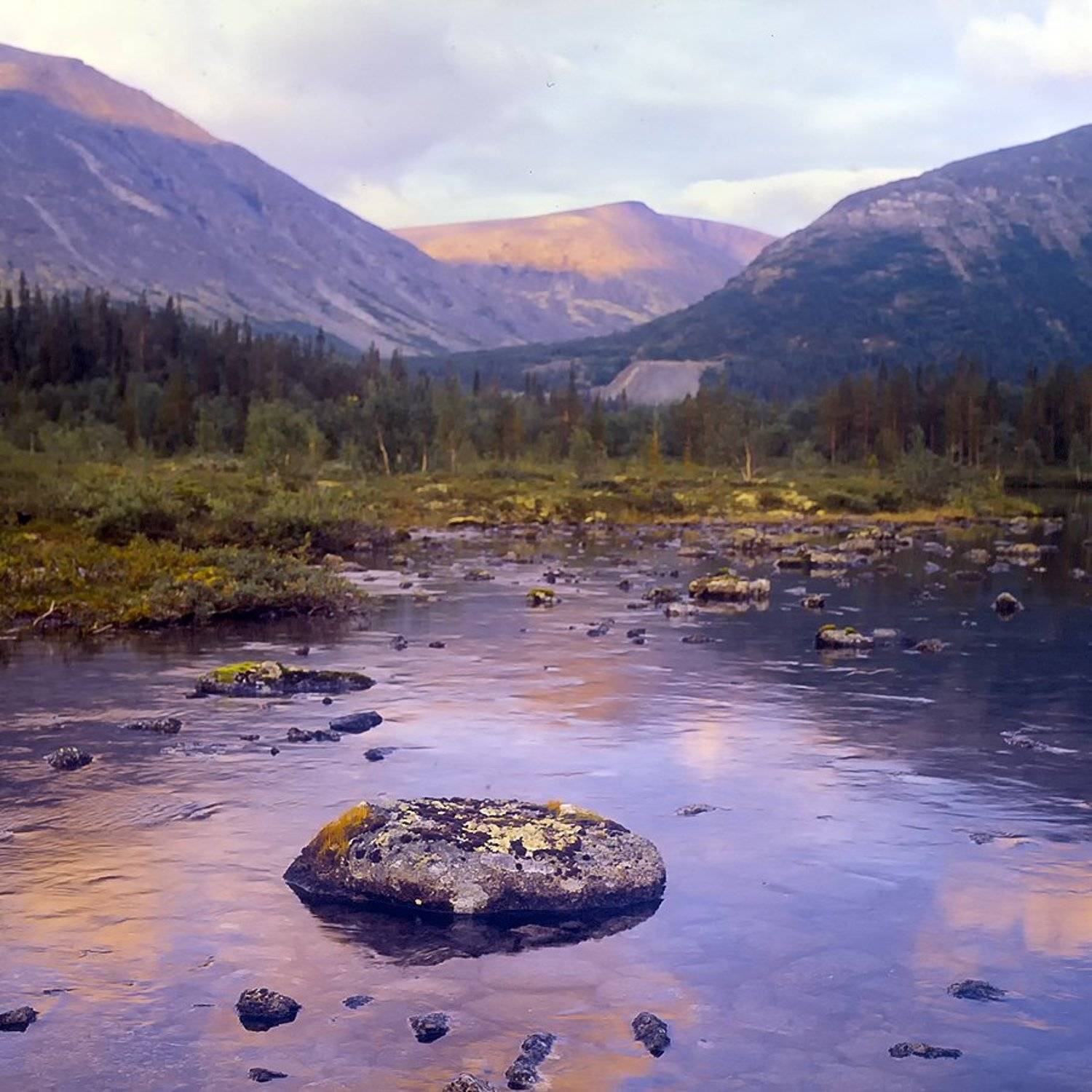 хибинские-тундры  provia100f arax-60-mlu, Дима Лялин