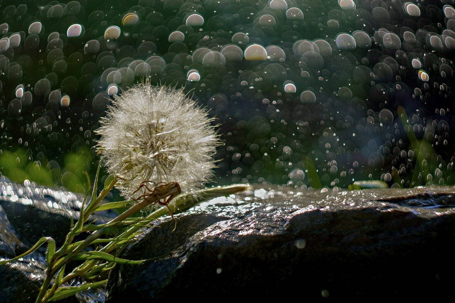 , Марина Соколова