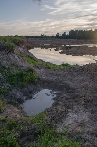 Карьерные виды.