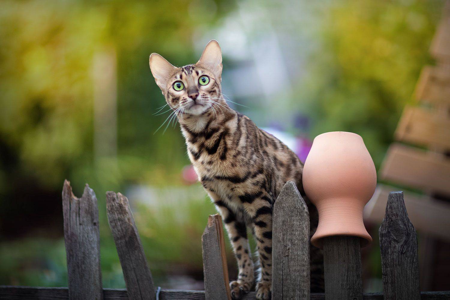 , Коротун Юрий