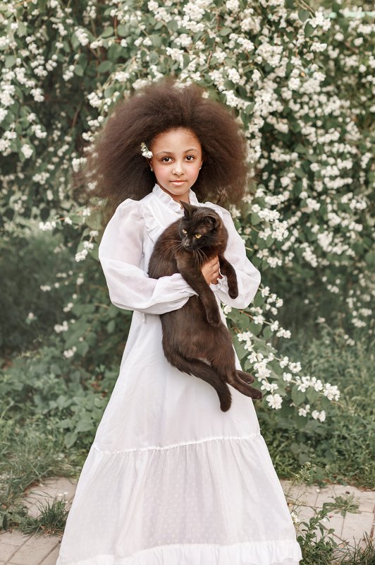 кот Рашель и коте фото превью