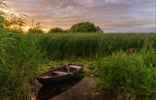 Июльский закат