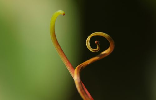 Жизнь и смерть.