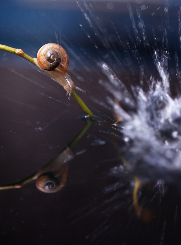 В фонтане брызг фото превью