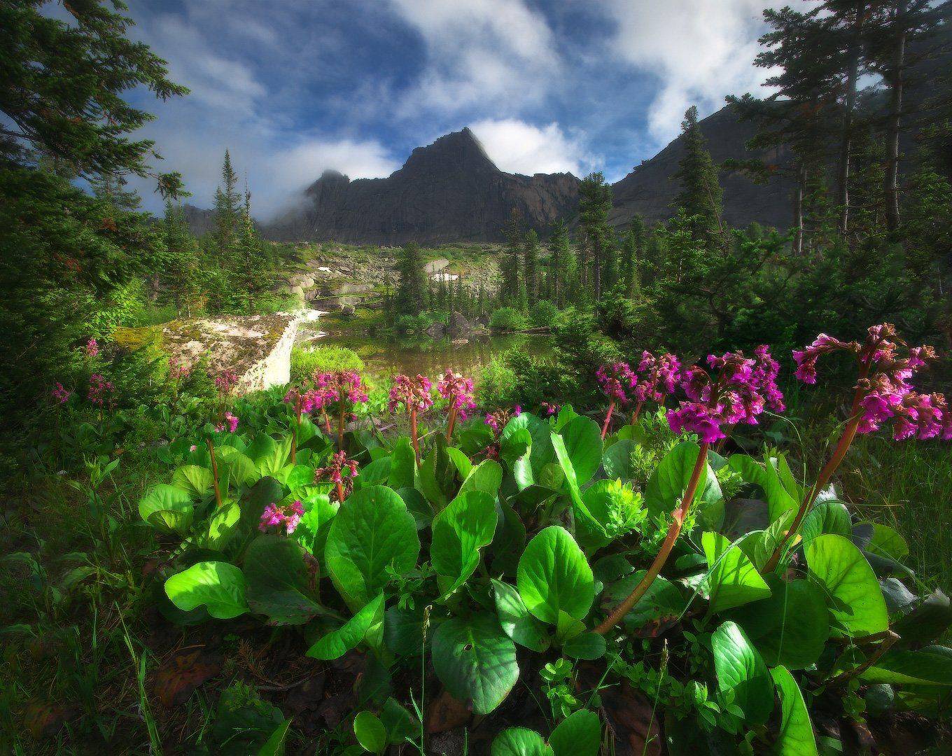 ергаки, горы, саяны, западныйсаян, сибирь, фототур, Владимир Ляпин