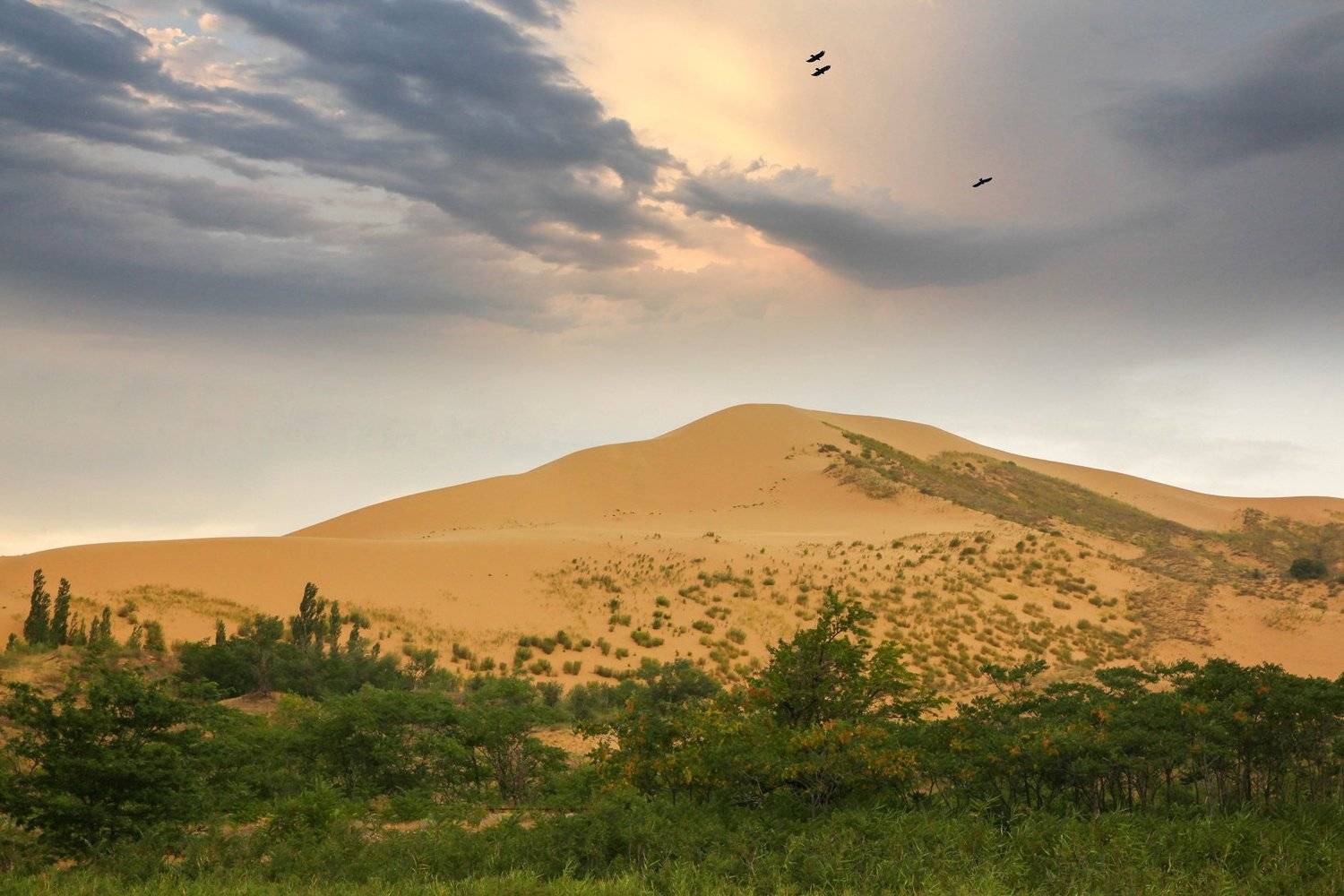 сары кум,песок,гора.природа,пустыня,дагестан., Marat Magov
