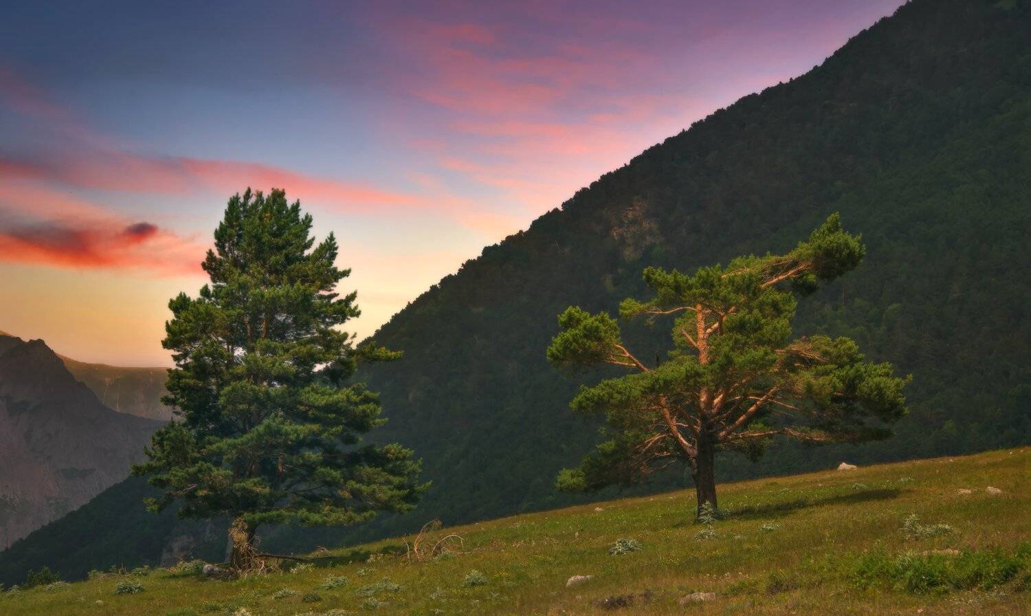 , Елена Брежицкая