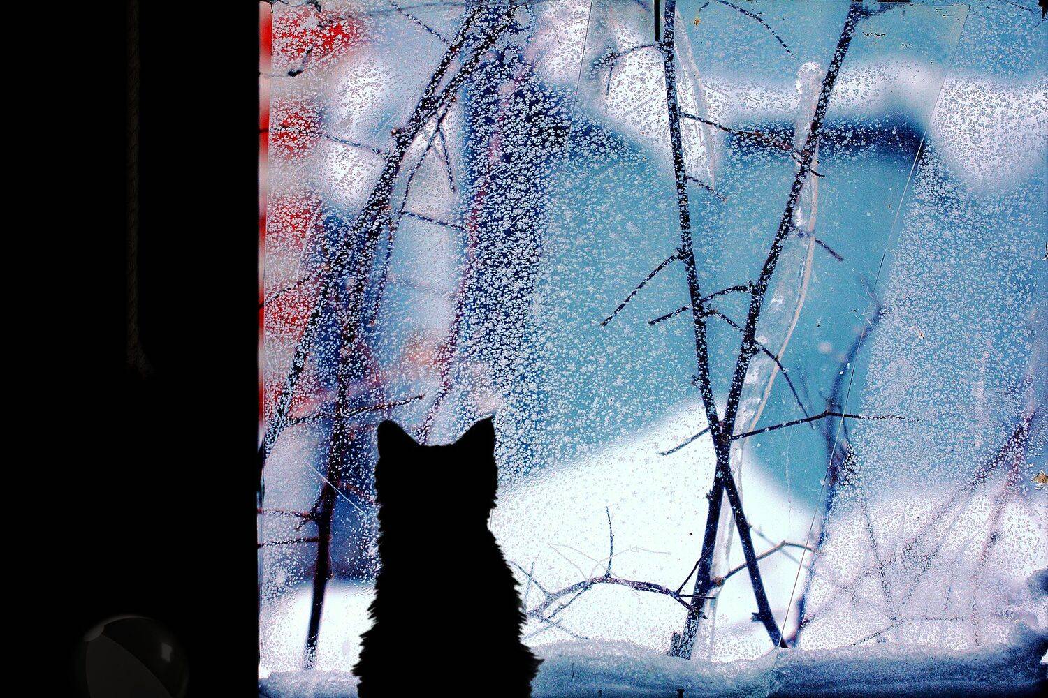 креатив, обработка, концепция, ожидание, весны, зима, concept, waiting, spring, winter, Дмитрий Салтыков