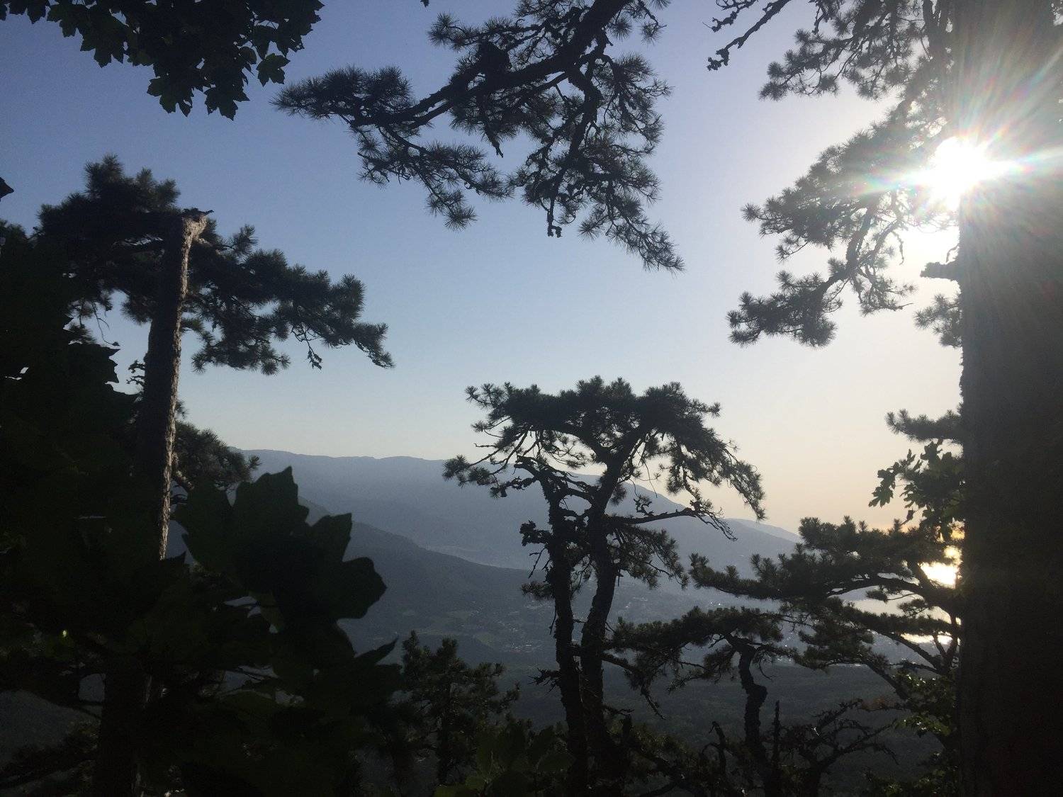 , Илья Мусатов