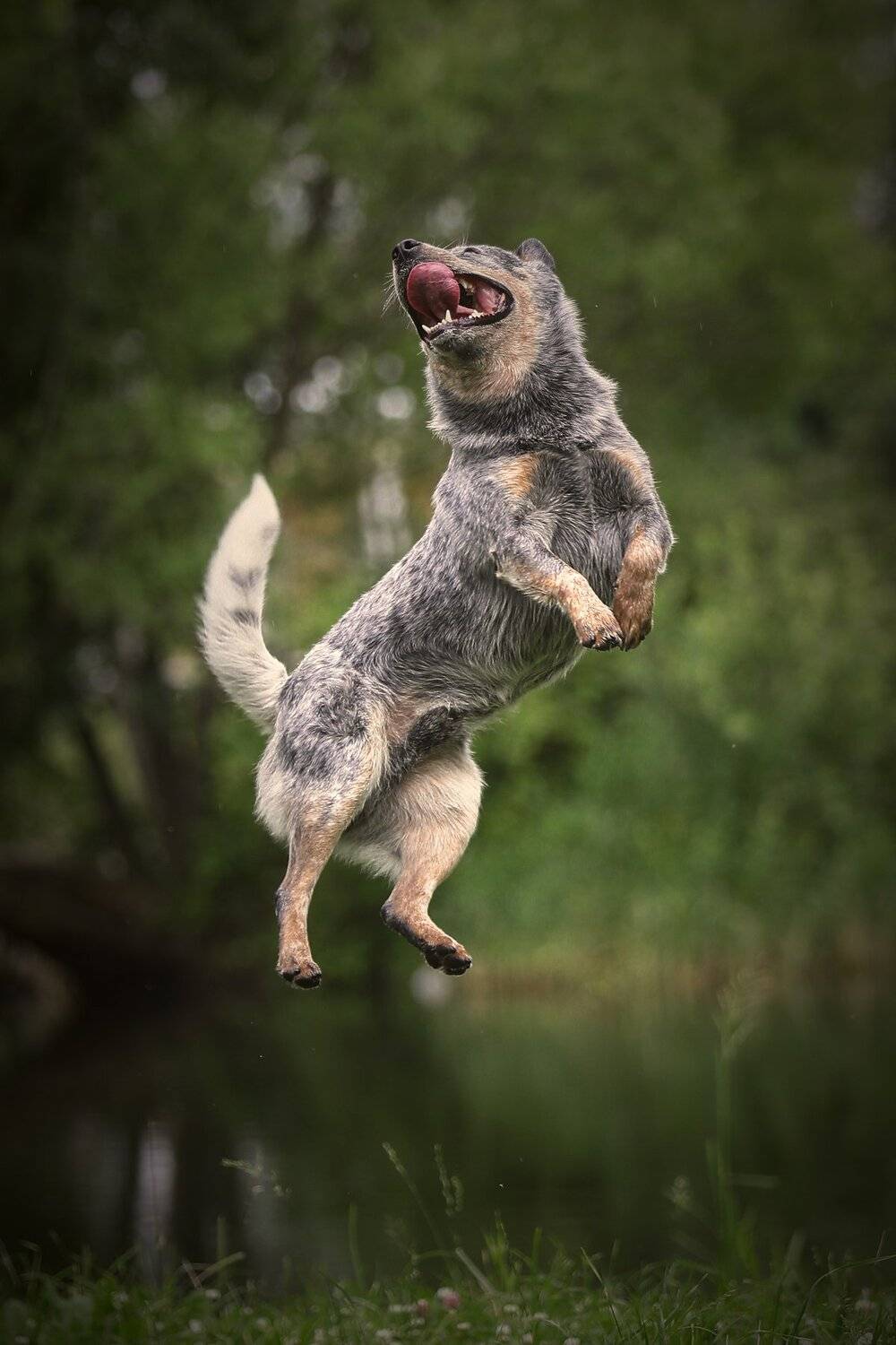 , Андрей Ершов