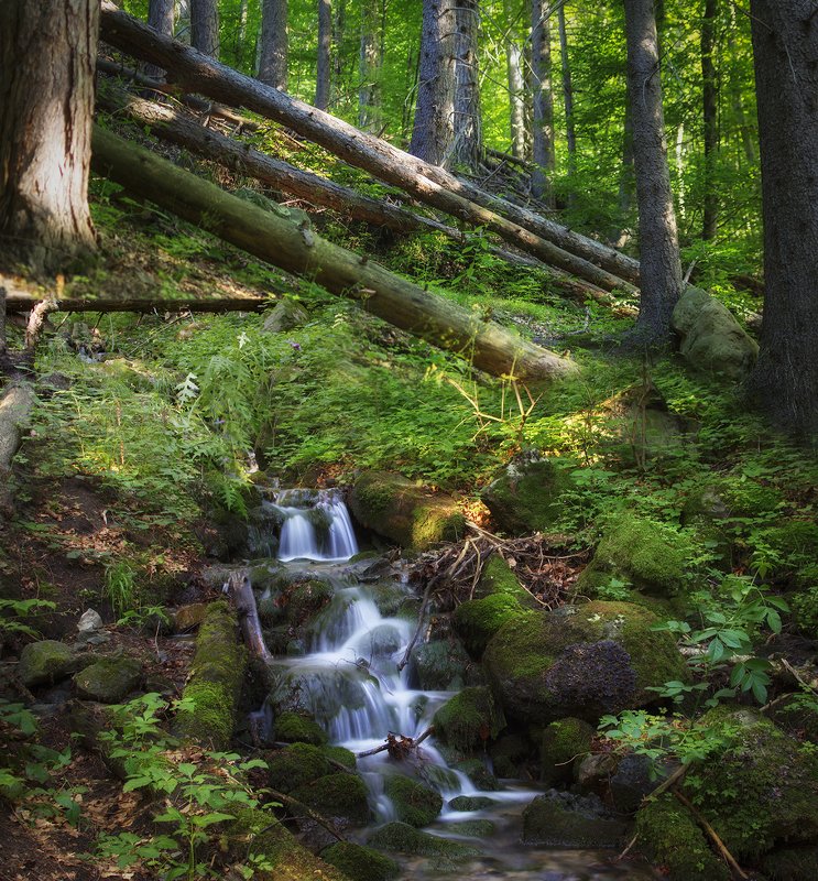 **** фото превью