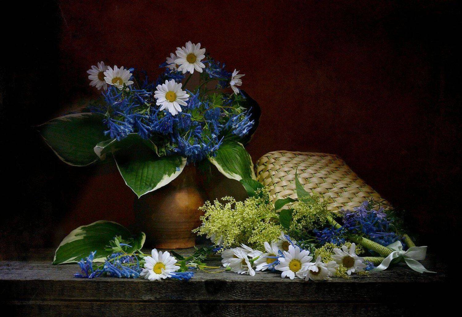 still life,натюрморт,фото натюрморт, лето, июль, ромашки, Колова Валентина