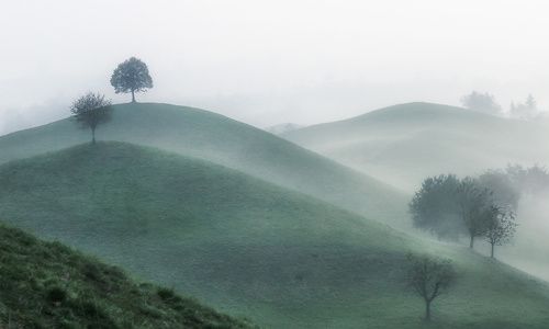 Тишиною заполнено утро