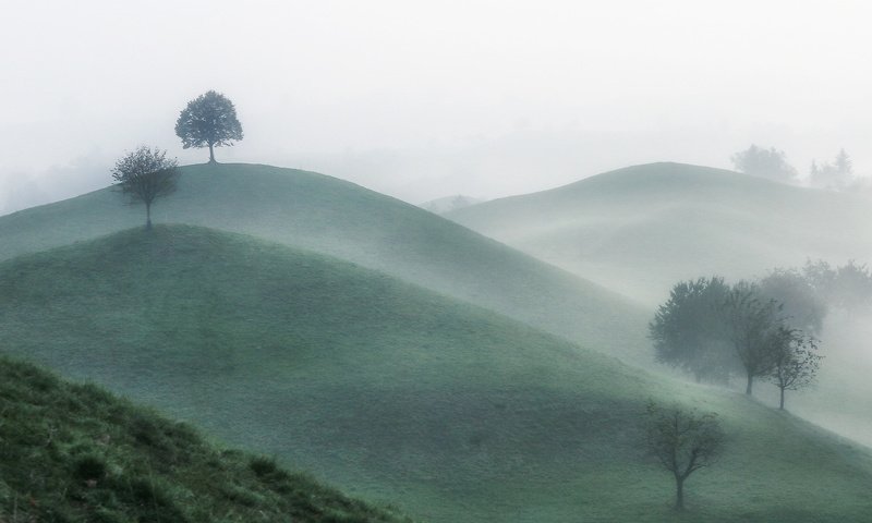 швейцария, альпы, горы Тишиною заполнено утро фото превью