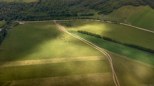 Cельская местность
