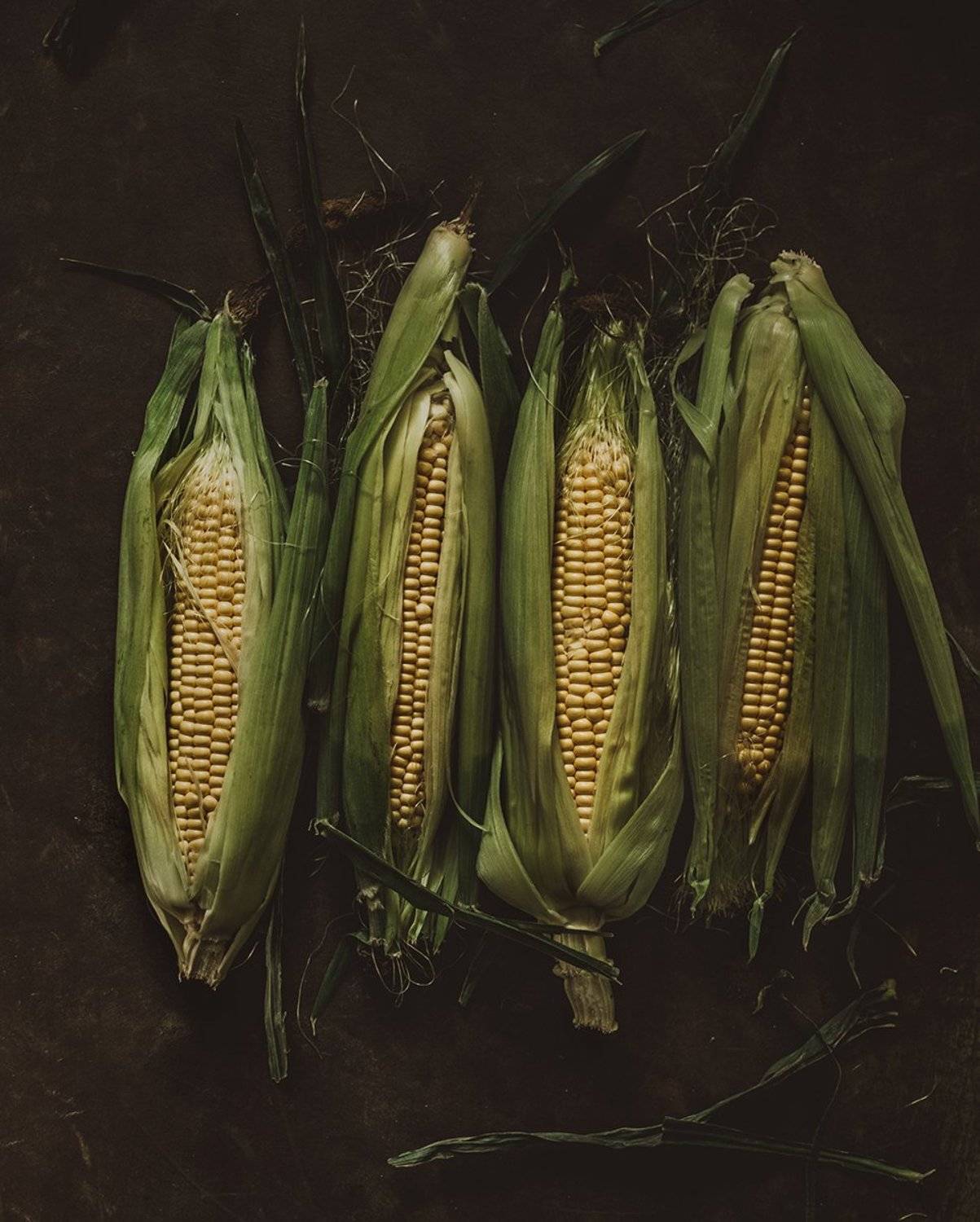 , Чернякова Анна