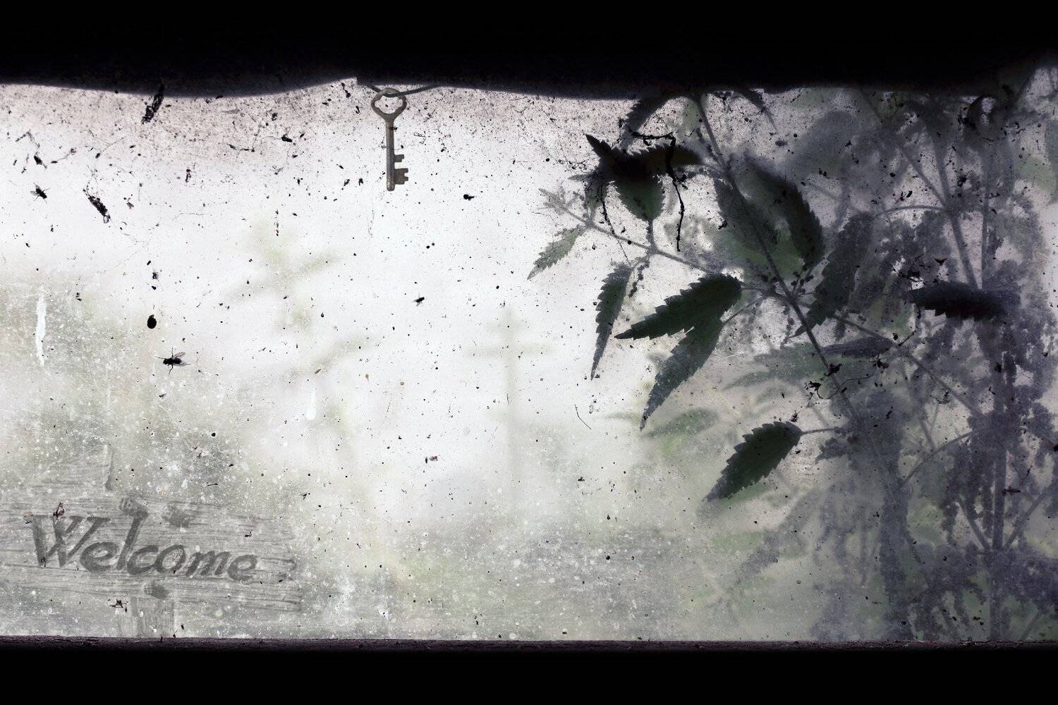 креатив, обработка, концепция, другое, иное, жильё, concept, renovation, another, housing, Дмитрий Салтыков