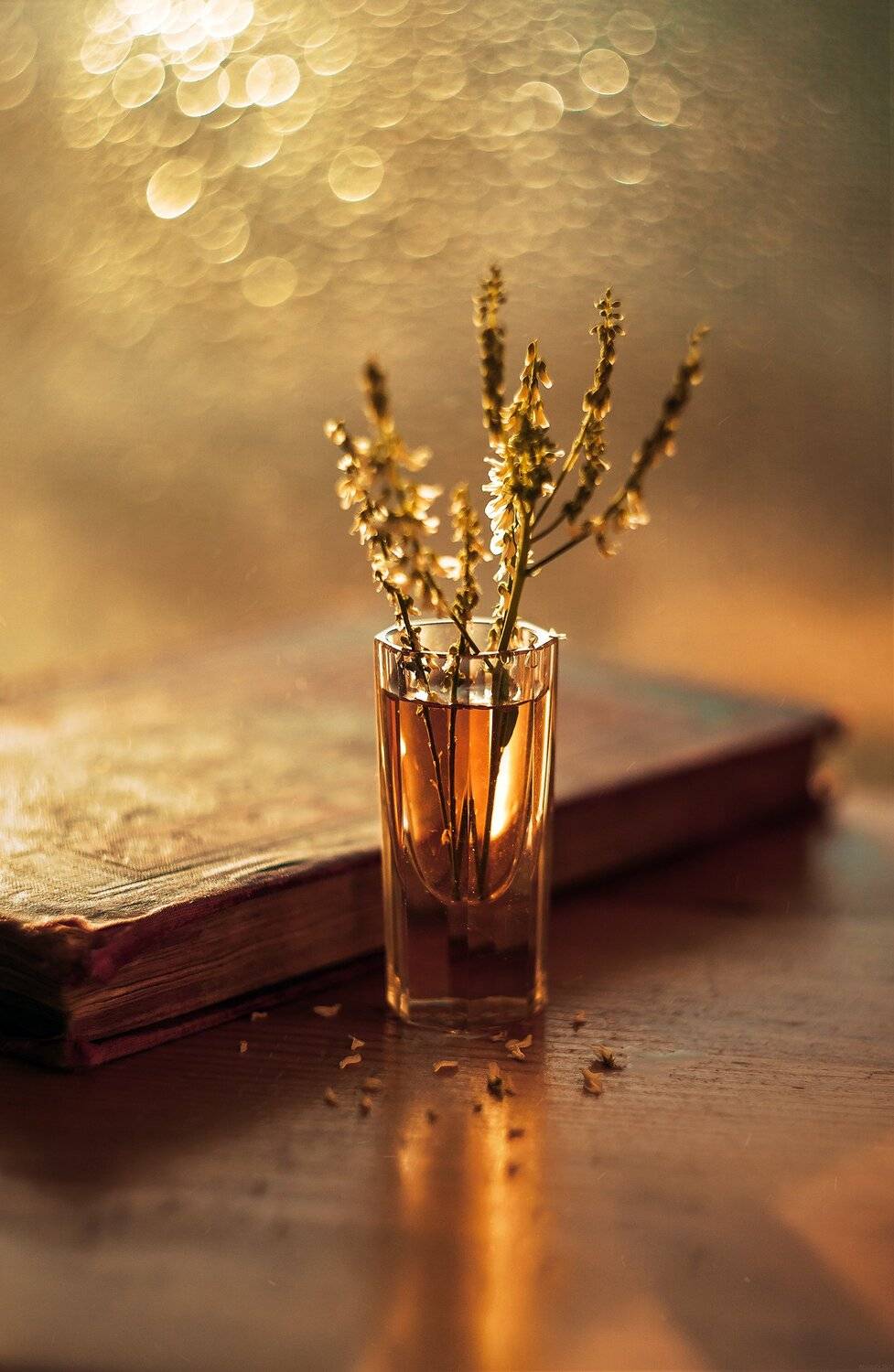 , Рут Андрей