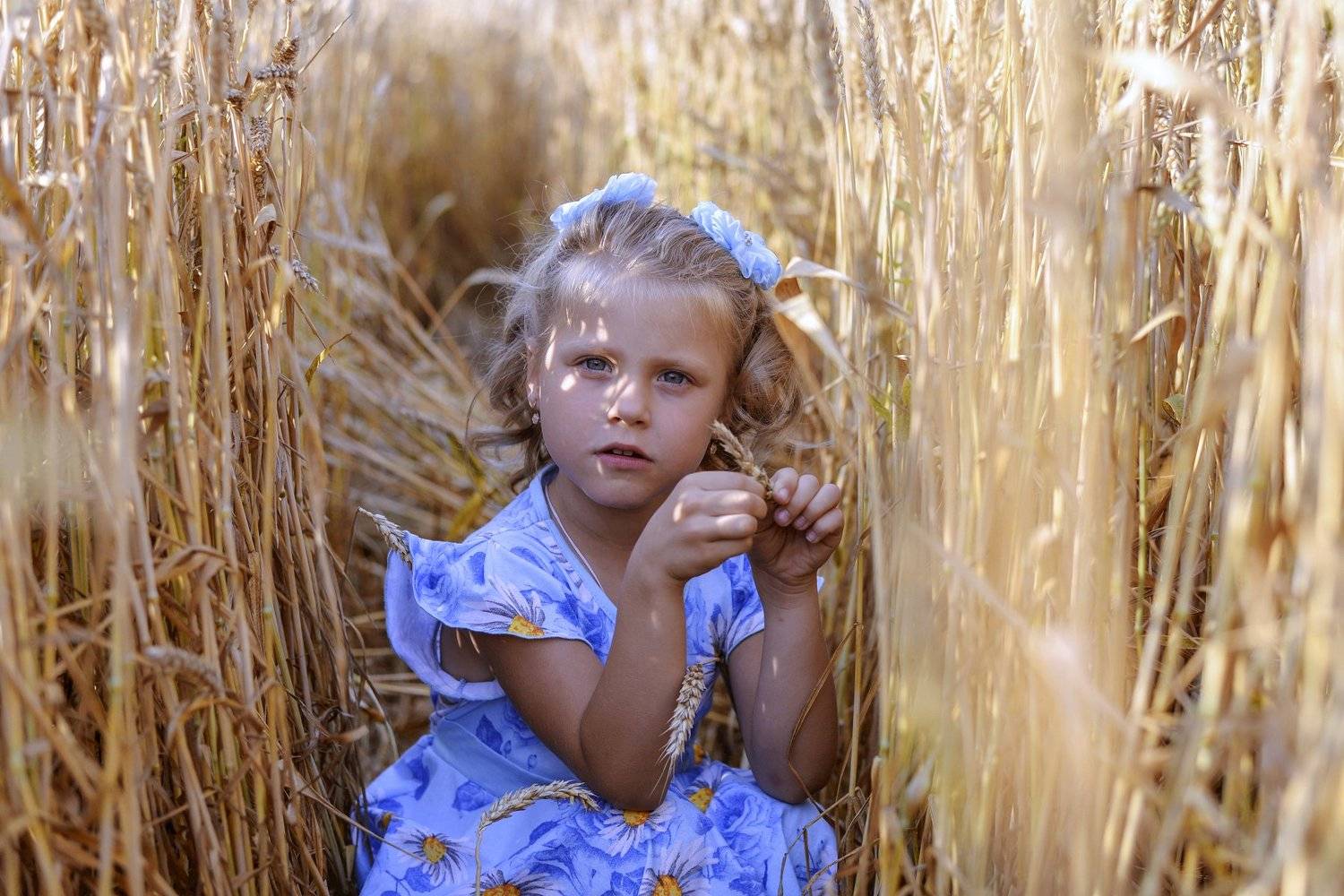 , Елена Вапняр