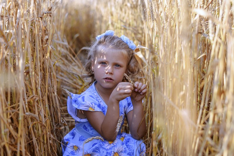 Пшеничное лето. фото превью