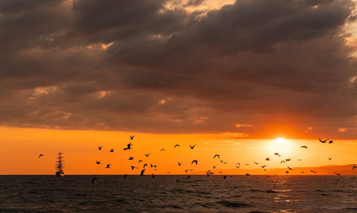 , Александр Земляной