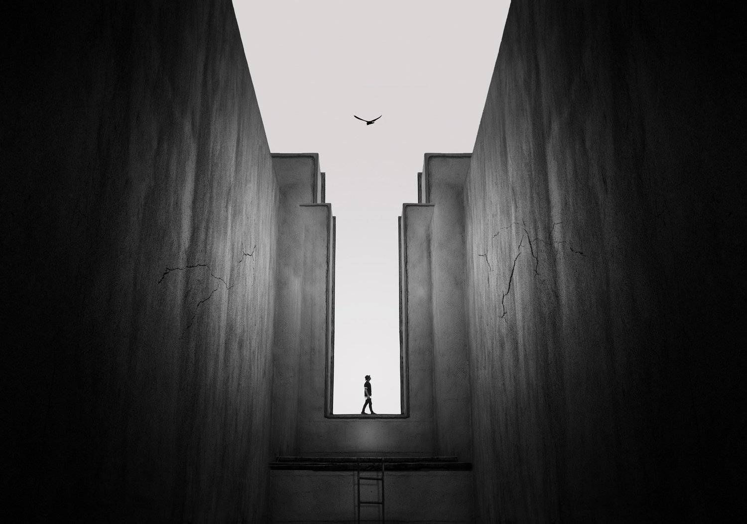 conceptual, Shervin Khan Mohammadi