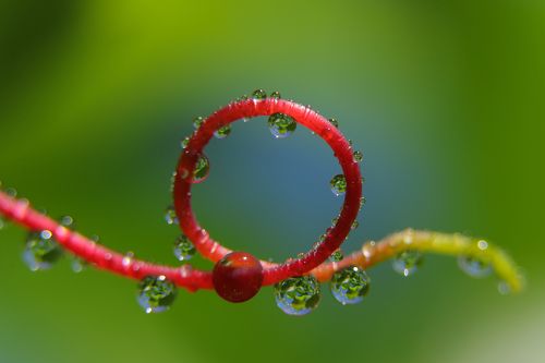 Окно в небо.