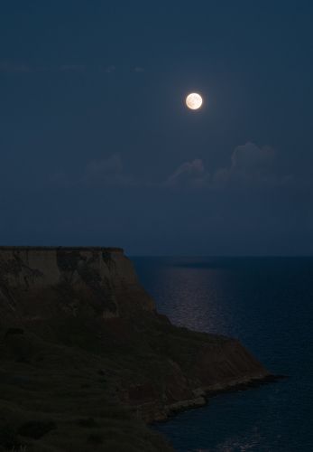 Terra Incognita